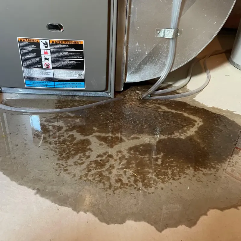 Appliance Leak Cleanup in Palm Valley, TX