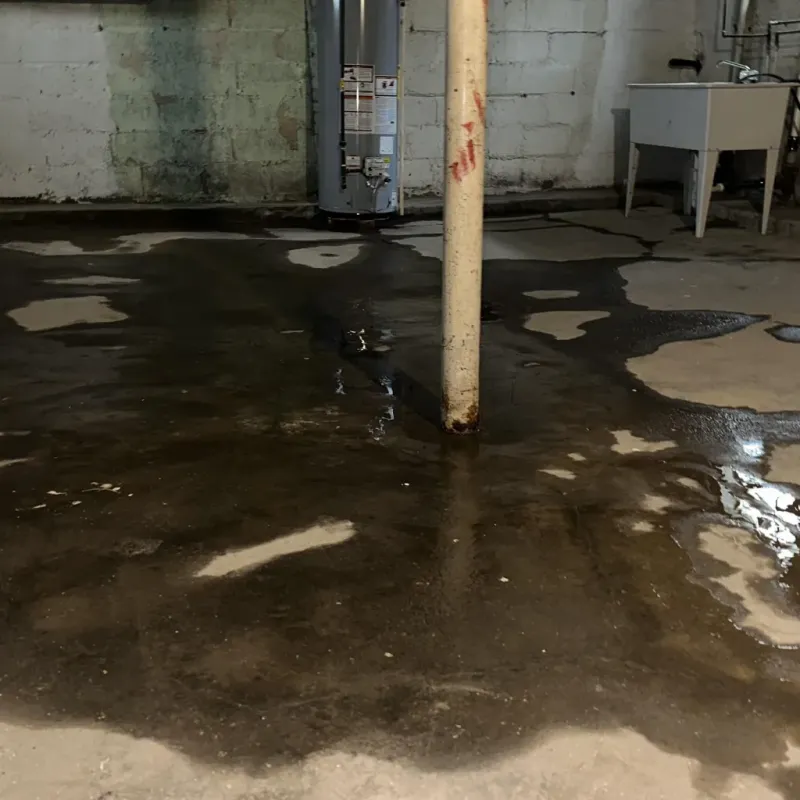 Emergency Water Extraction And Removal in Palm Valley, TX